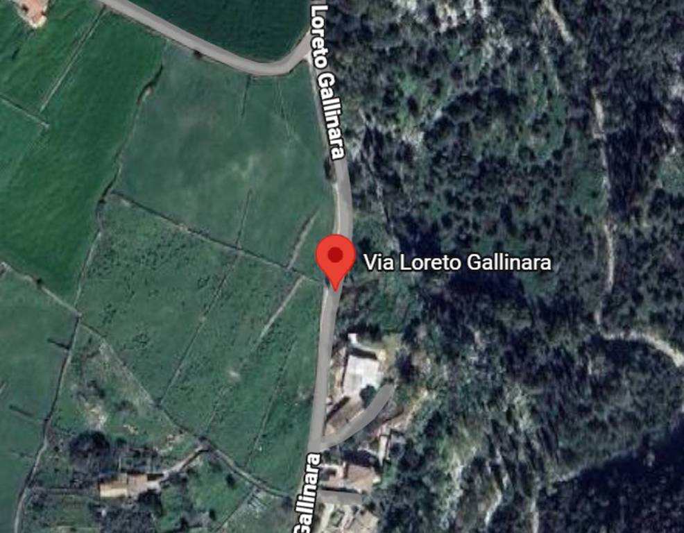 immagine annuncio 4 di 12