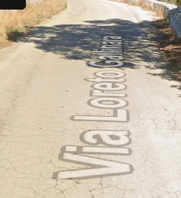 immagine annuncio 8 di 12