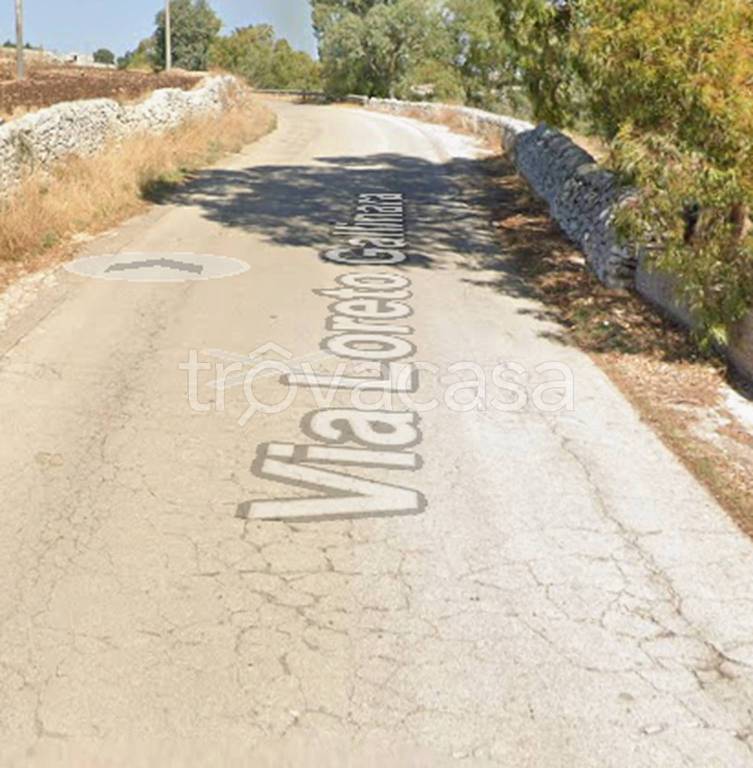 immagine annuncio 9 di 12