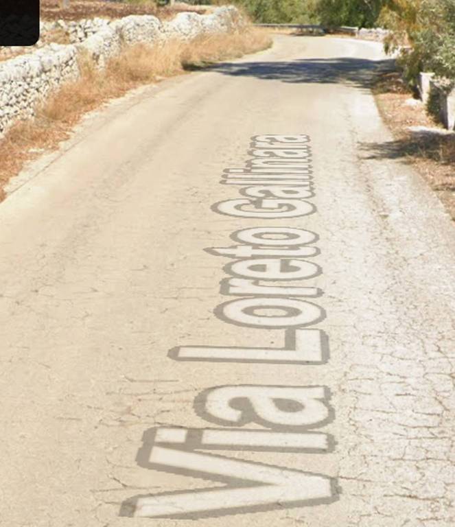 immagine annuncio 10 di 12