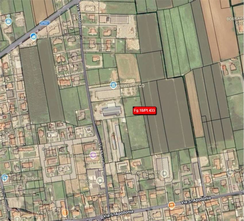 immagine annuncio 2 di 12