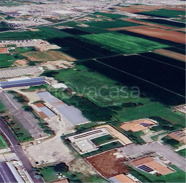 immagine annuncio 8 di 12