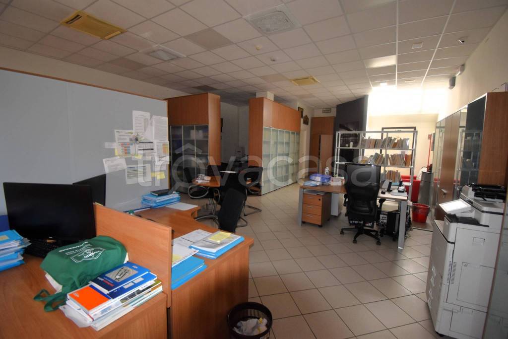 immagine annuncio 3 di 11