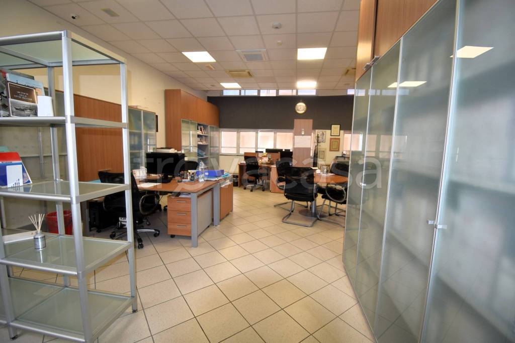 immagine annuncio 5 di 11