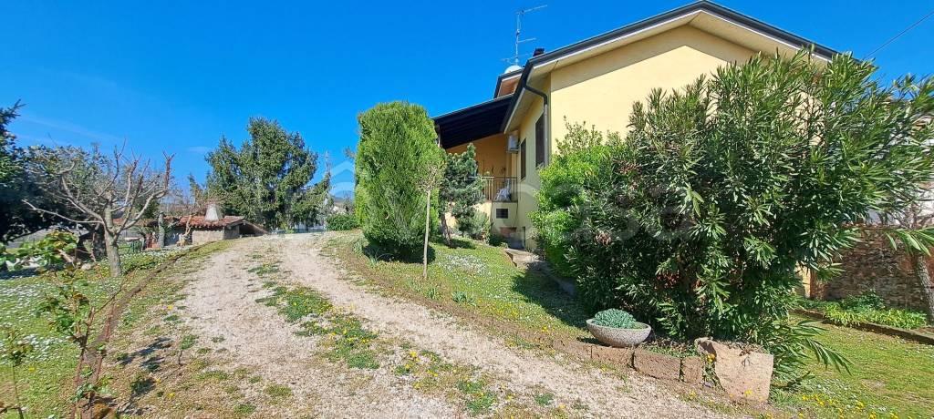 immagine annuncio 5 di 15