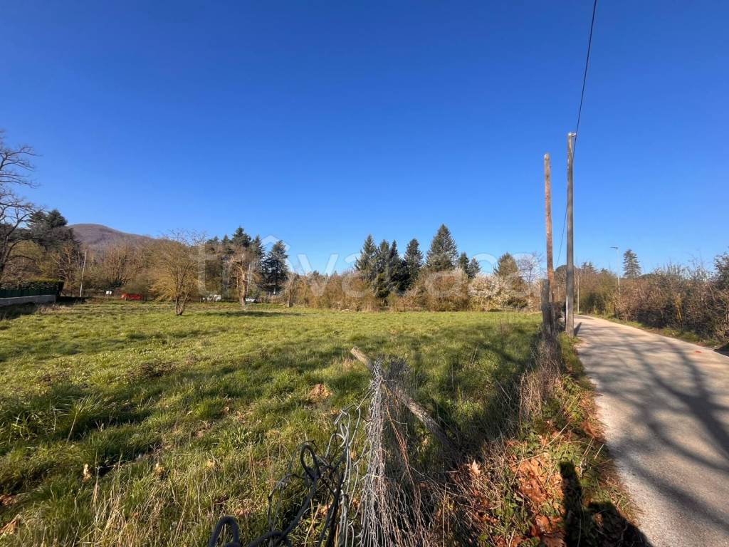 immagine annuncio 3 di 13