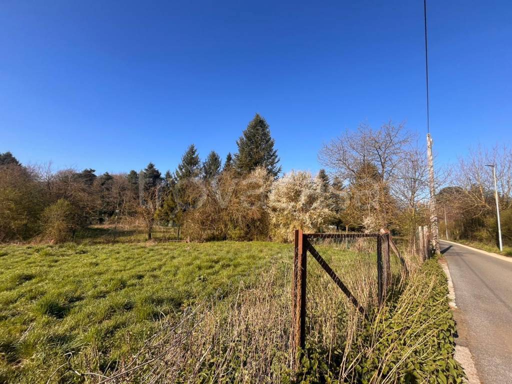 immagine annuncio 7 di 13