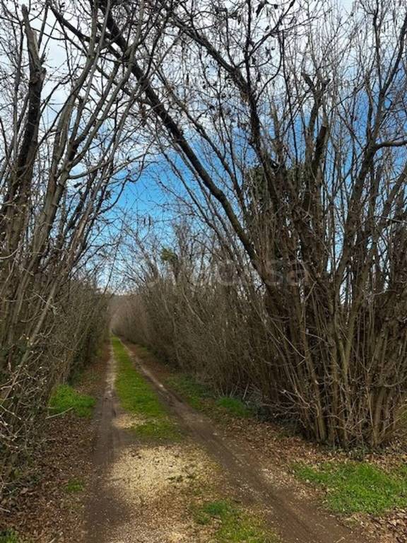 immagine annuncio 3 di 4