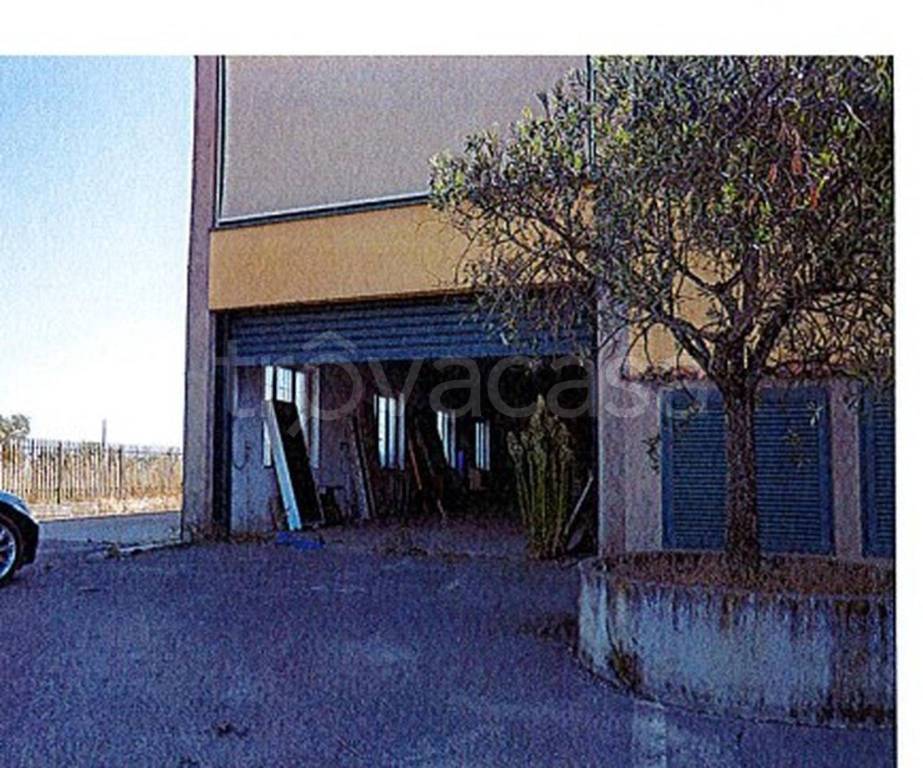 immagine annuncio 7 di 13