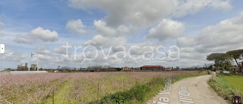 immagine annuncio 8 di 12