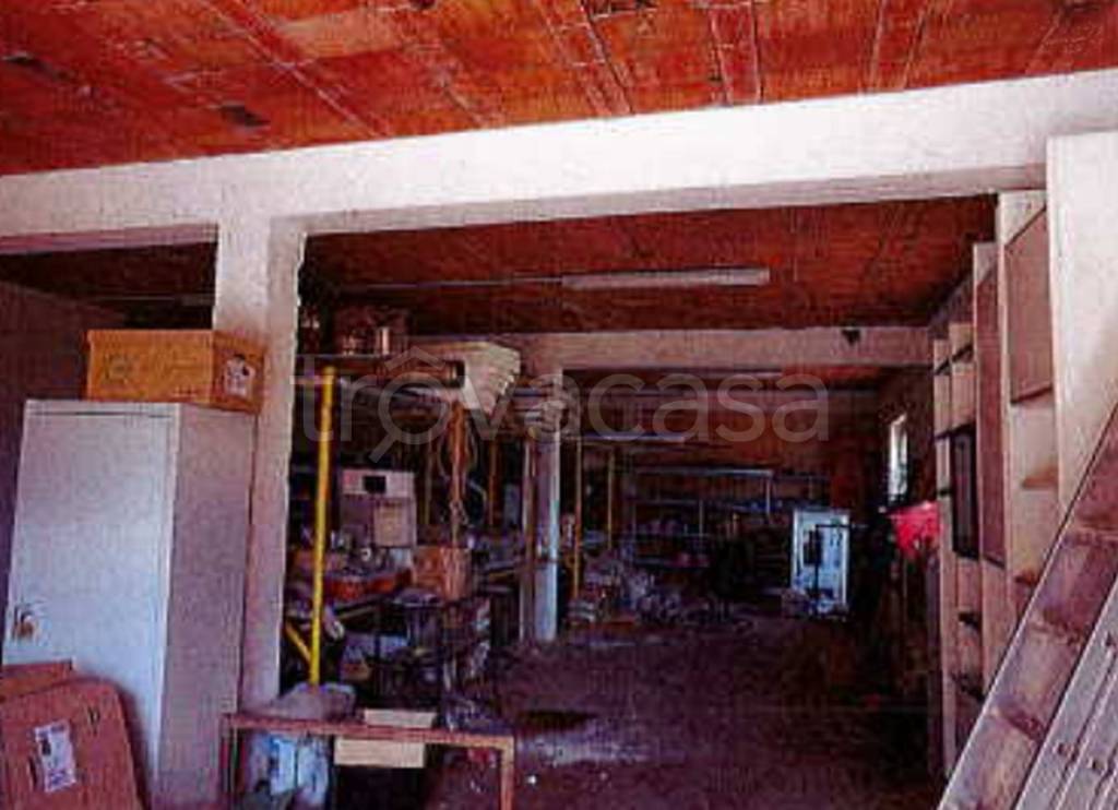 immagine annuncio 6 di 11