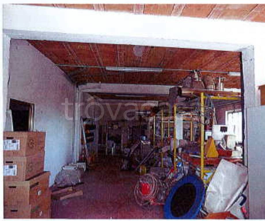 immagine annuncio 7 di 11