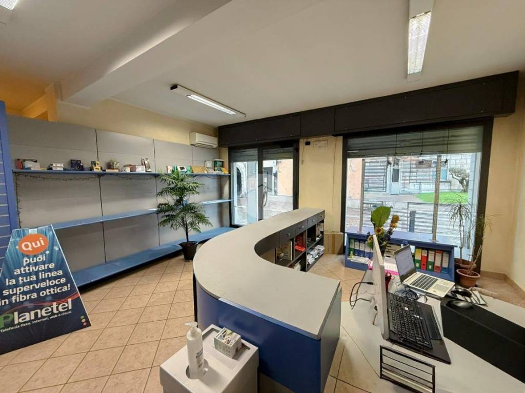 immagine annuncio 6 di 15