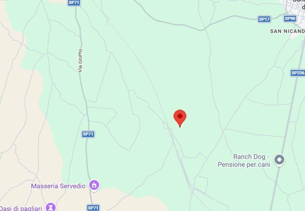 immagine annuncio 2 di 11