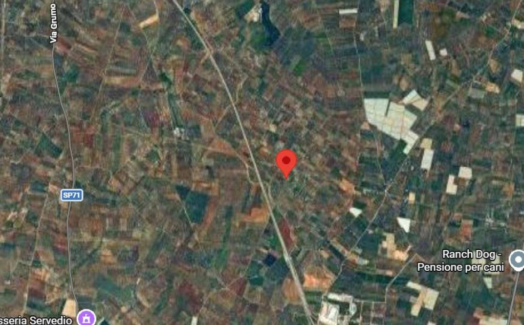 immagine annuncio 3 di 11