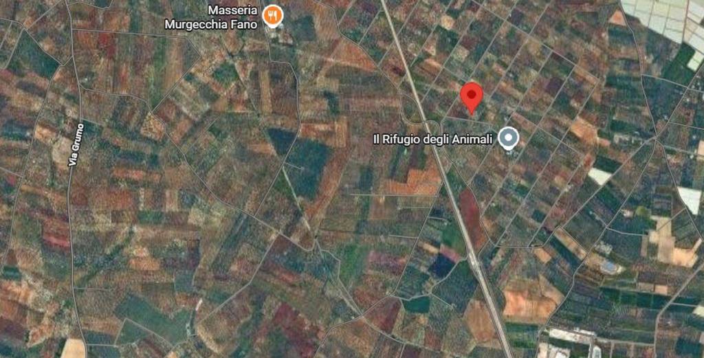 immagine annuncio 4 di 11