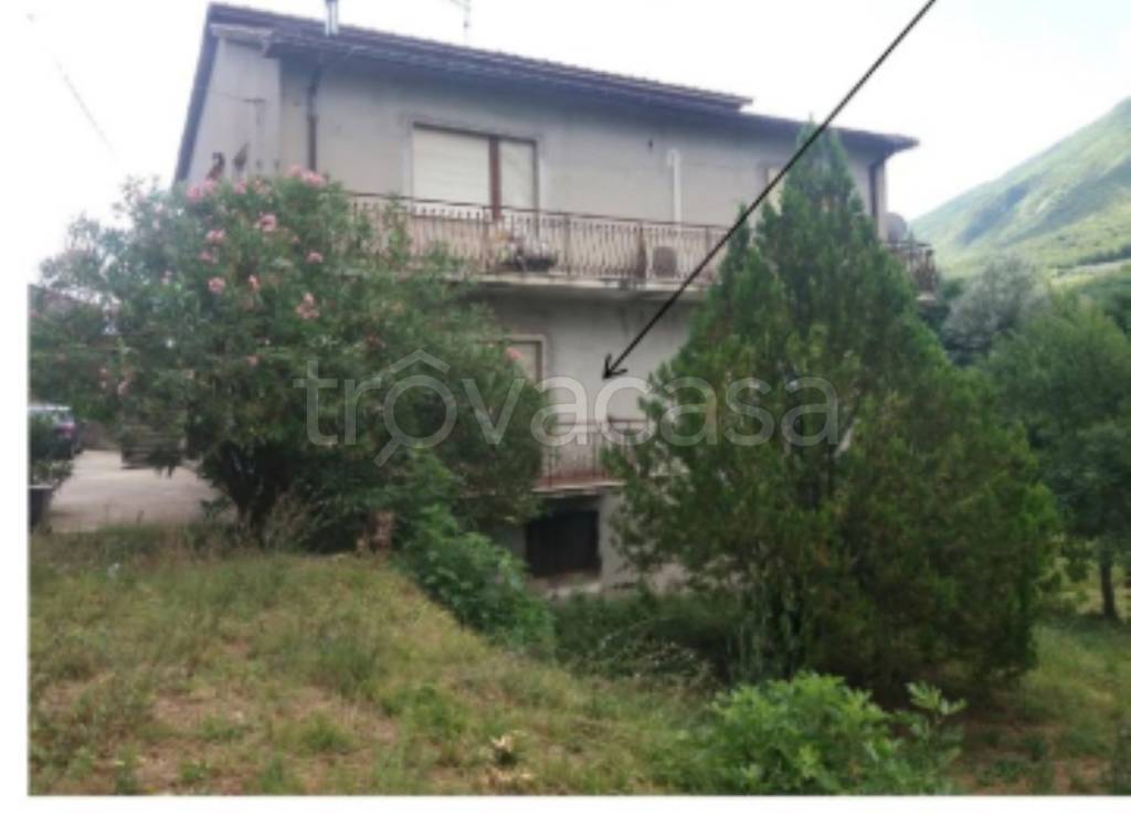 immagine annuncio 4 di 13