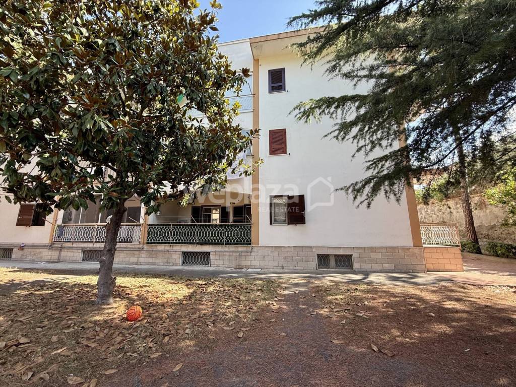 immagine annuncio 4 di 12