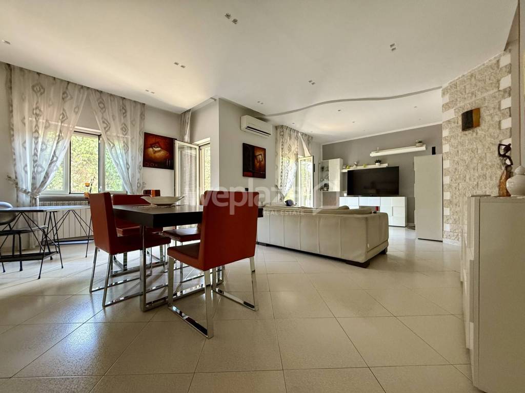 immagine annuncio 5 di 12