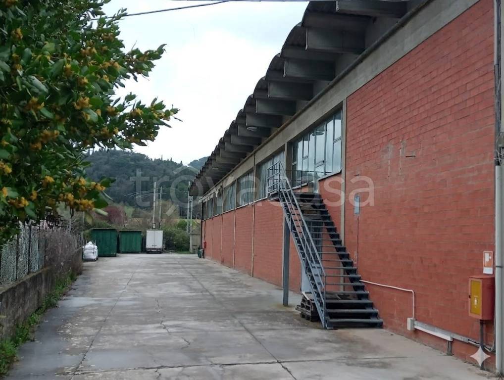 immagine annuncio 1 di 2