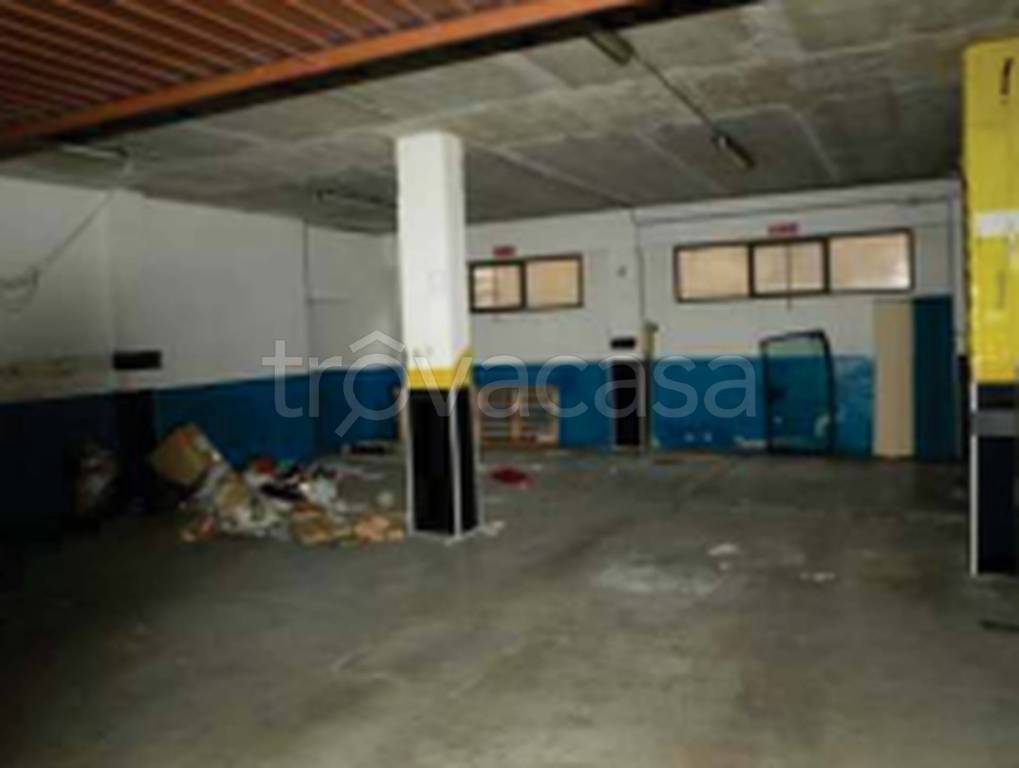 immagine annuncio 5 di 11