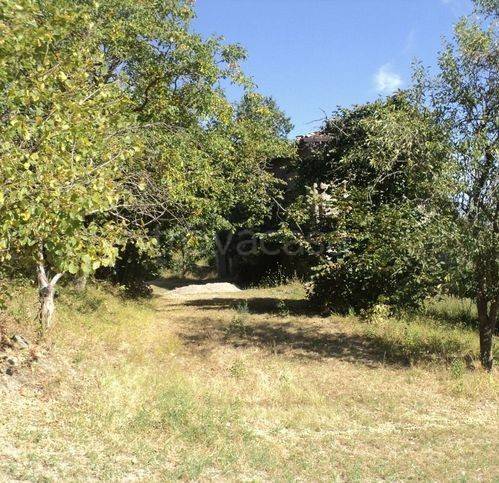 immagine annuncio 6 di 7