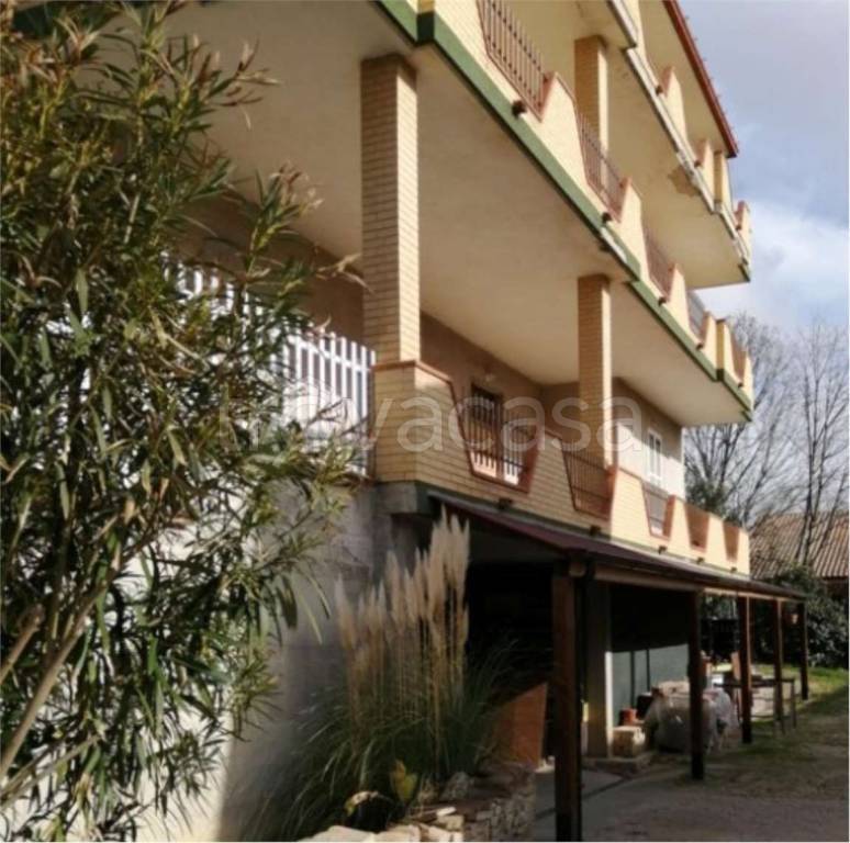 immagine annuncio 1 di 12