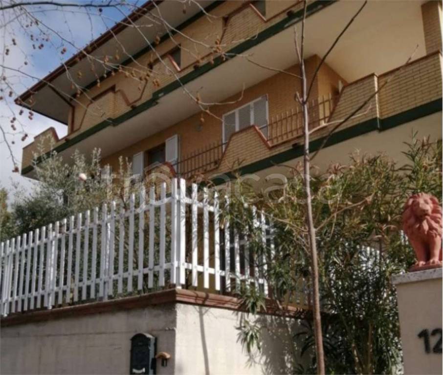 immagine annuncio 2 di 12