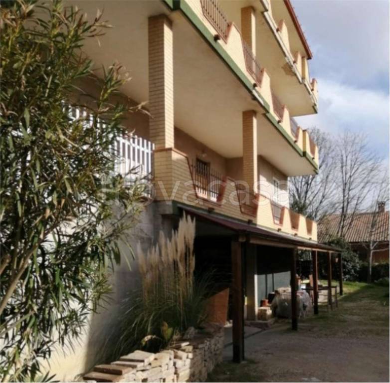 immagine annuncio 4 di 12