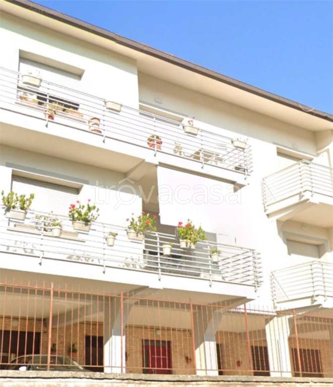 immagine annuncio 7 di 12