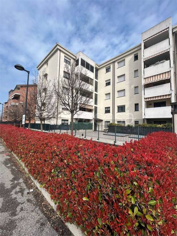 immagine annuncio 12 di 14