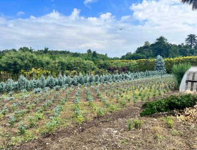 immagine annuncio 7 di 13