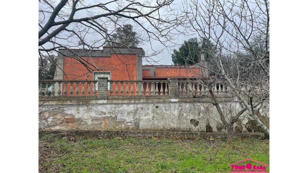 immagine annuncio 5 di 6