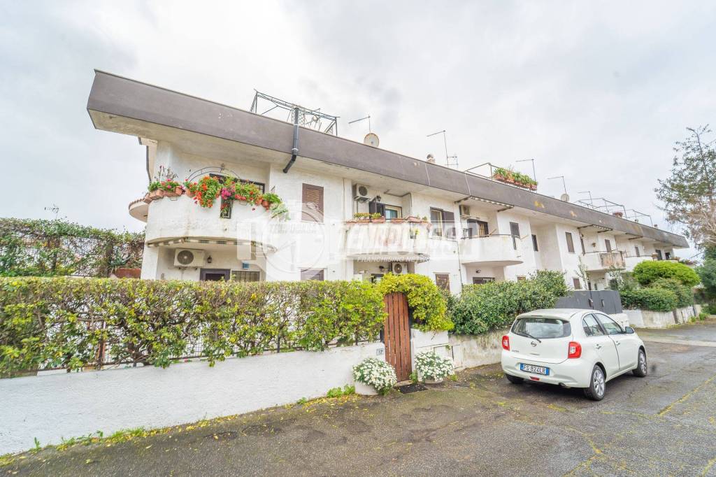 immagine annuncio 12 di 14