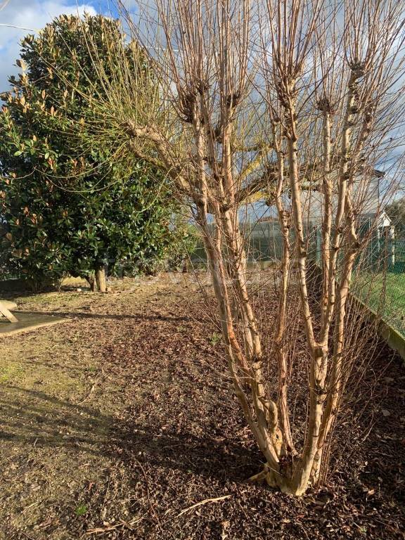 immagine annuncio 6 di 9