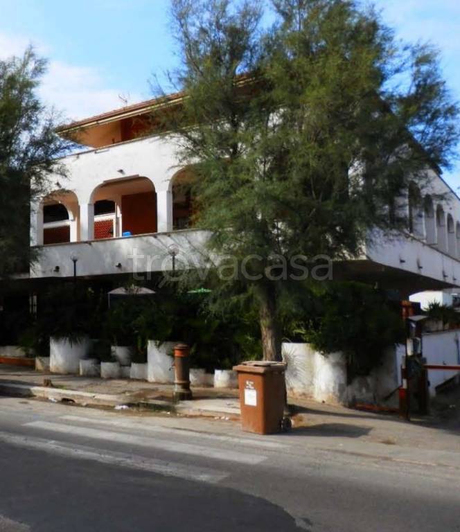 immagine annuncio 5 di 11