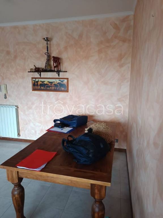 immagine annuncio 9 di 14