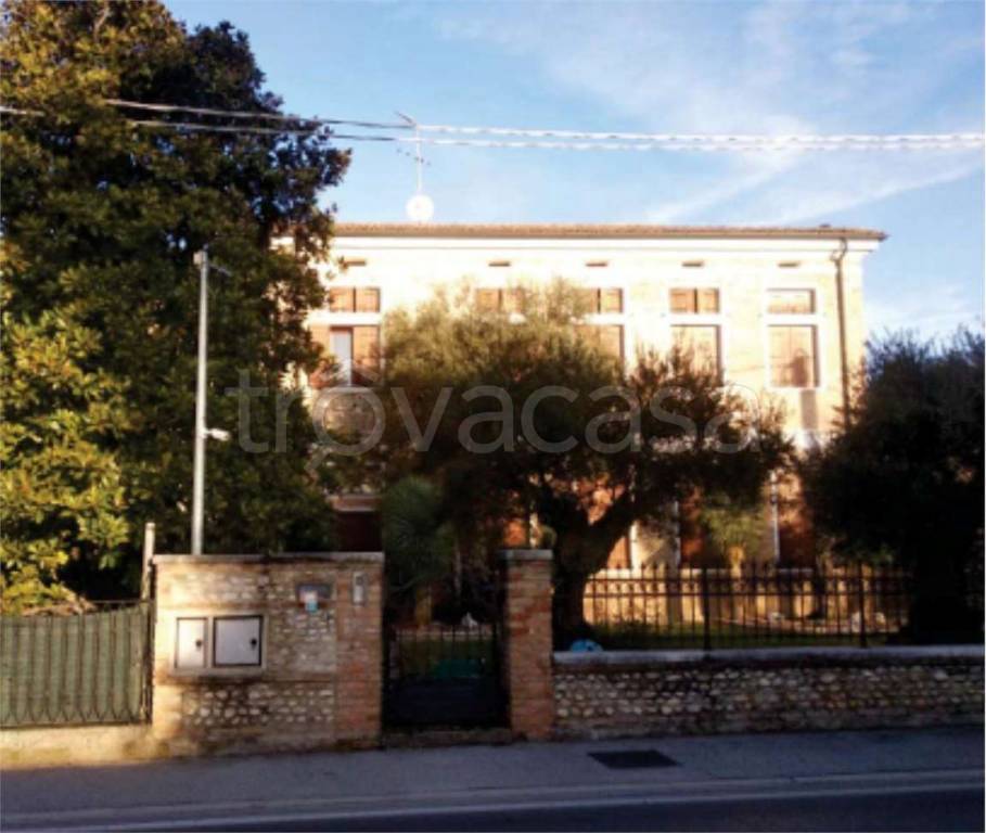 immagine annuncio 3 di 12