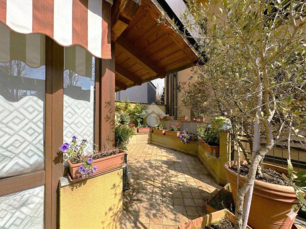 immagine annuncio 8 di 15