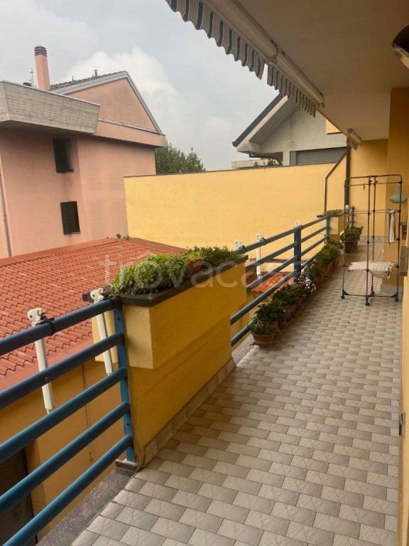 immagine annuncio 10 di 15