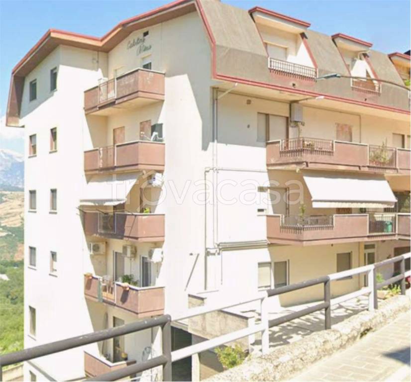 immagine annuncio 7 di 13