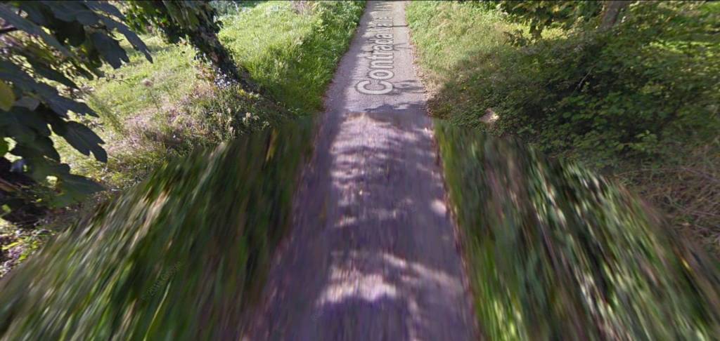 immagine annuncio 5 di 12