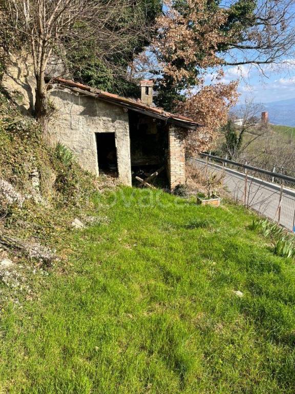 immagine annuncio 3 di 7