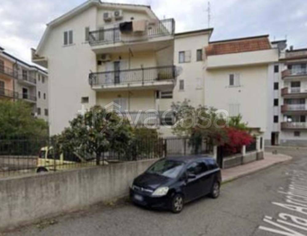 immagine annuncio 5 di 14