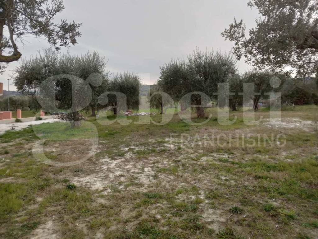 immagine annuncio 6 di 14