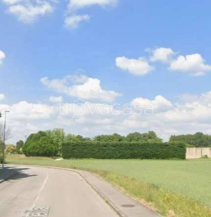 immagine annuncio 8 di 12