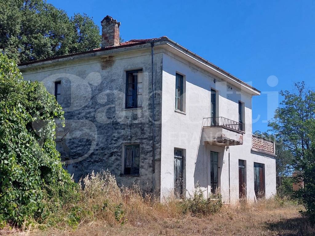 immagine annuncio 1 di 6