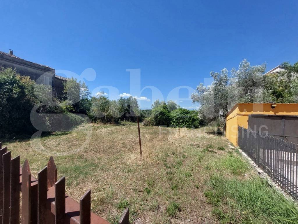 immagine annuncio 1 di 2