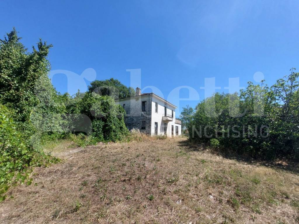 immagine annuncio 5 di 6