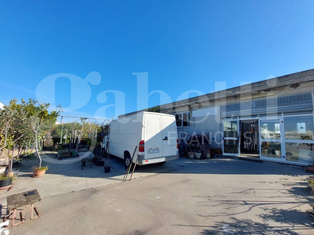 immagine annuncio 1 di 10